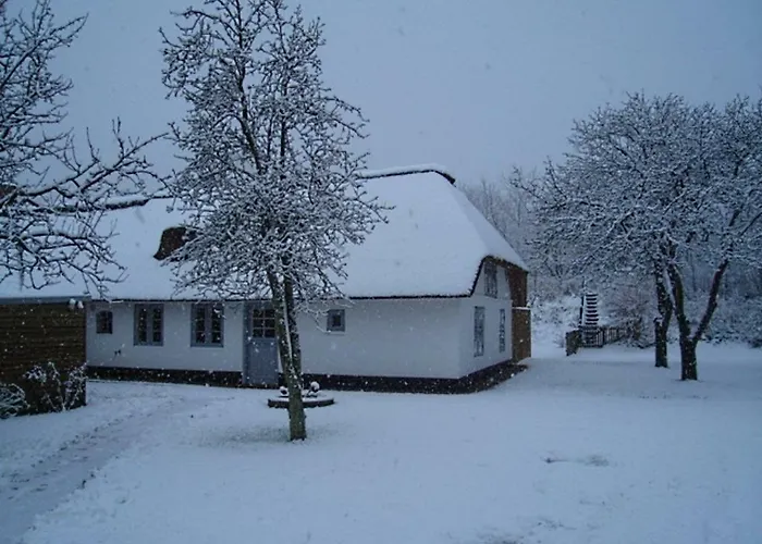 Fischerkate Detlefsen شقة *